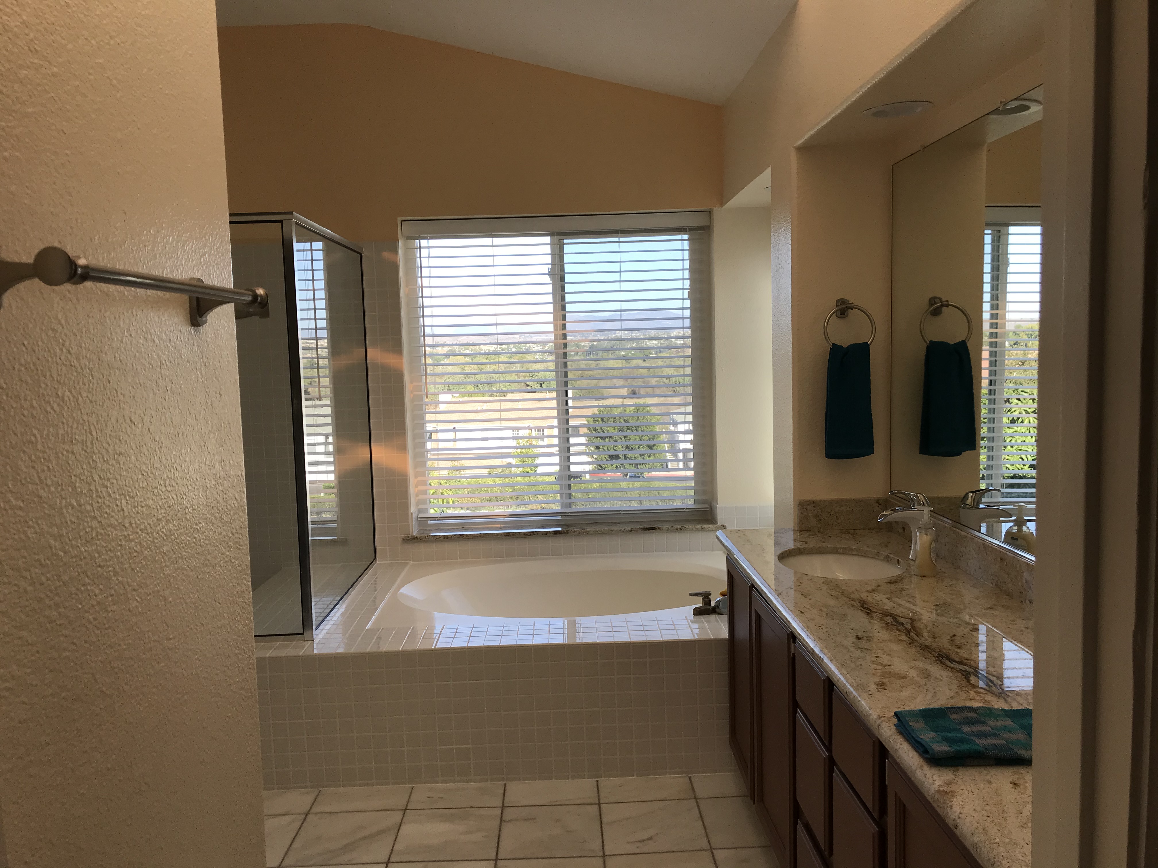 Master bathroom soaking tub with garden view window, granite vanity, and glass shower enclosure